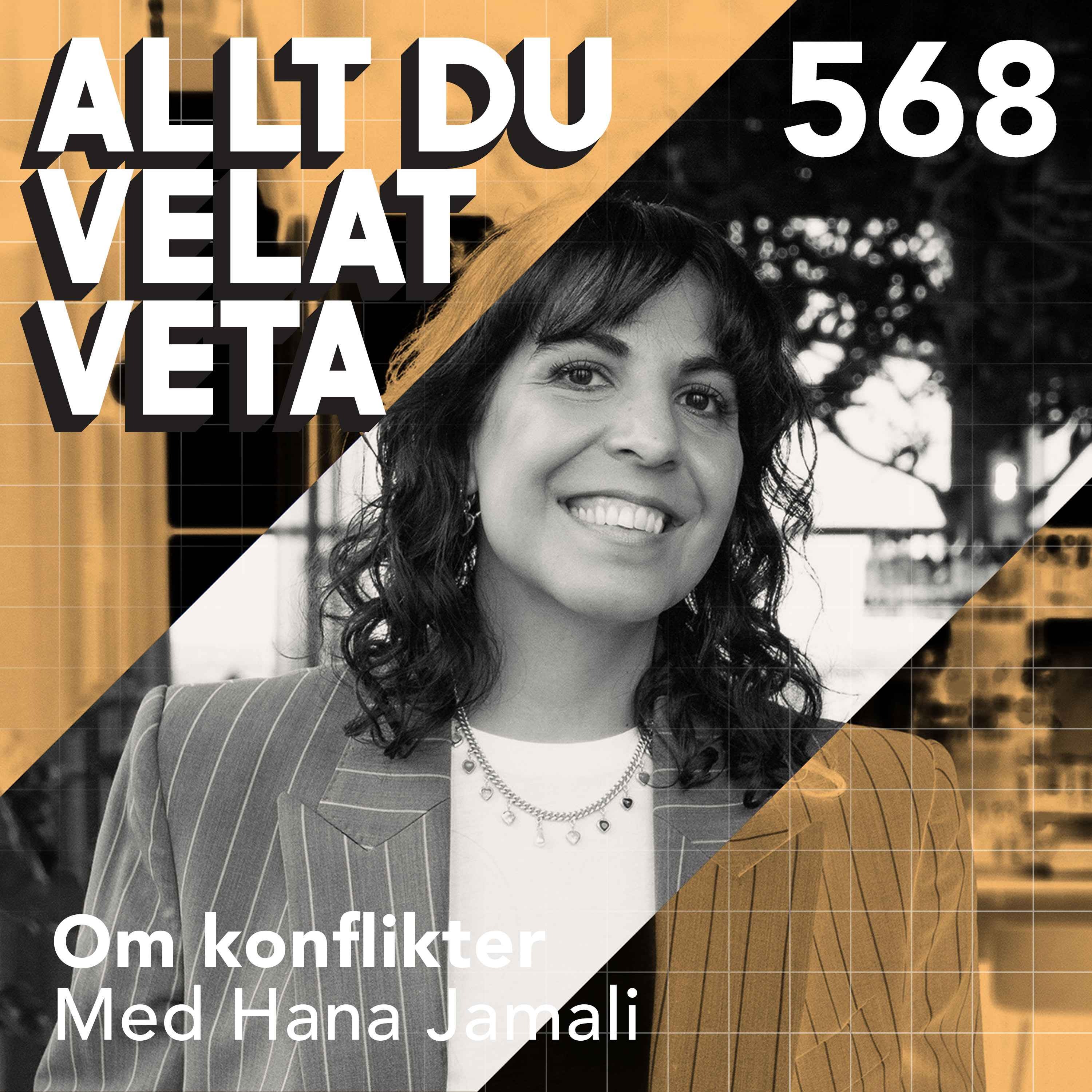 568 Om konflikter med Hana Jamali artwork