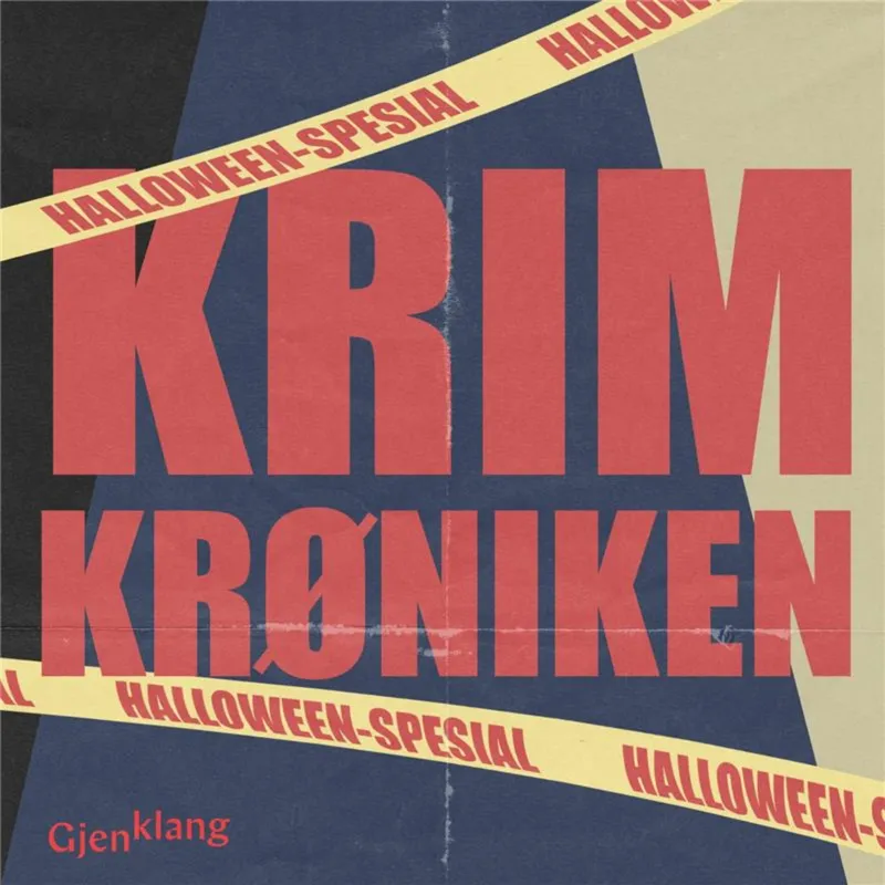 Sara kom aldri hjem artwork
