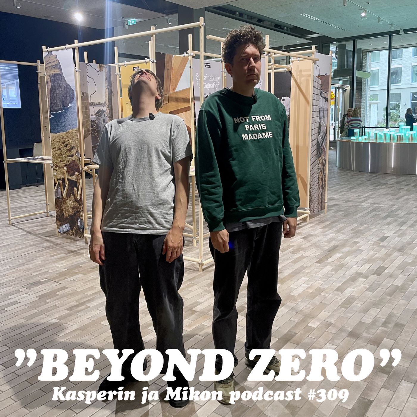309. Beyond Zero artwork