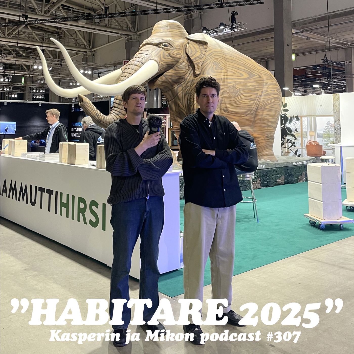 307. Habitare 2025 artwork