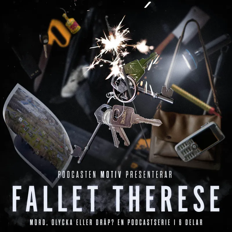 Fallet Therese - Del 3/6 "Fyndet" artwork