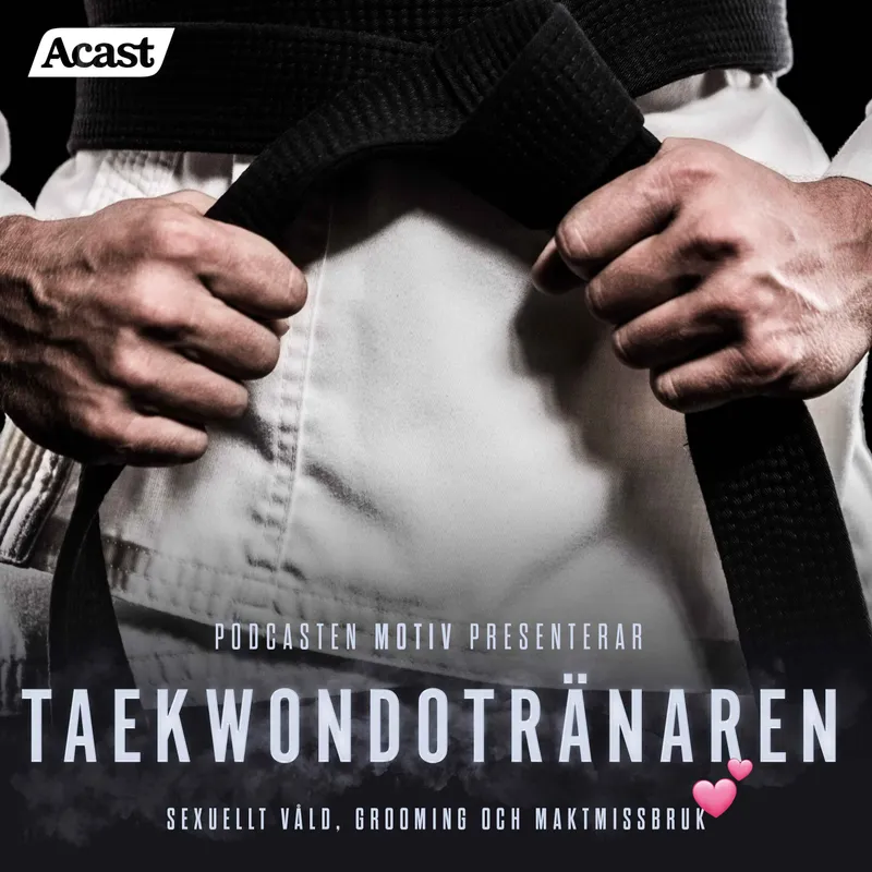 Taekwondotränaren - Del 5/5 "Rättegången, domen och frieriet" artwork