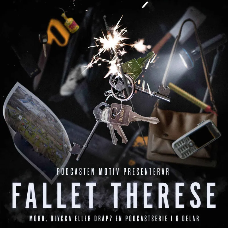 Fallet Therese - Del 6/6 "Svinasjön" artwork