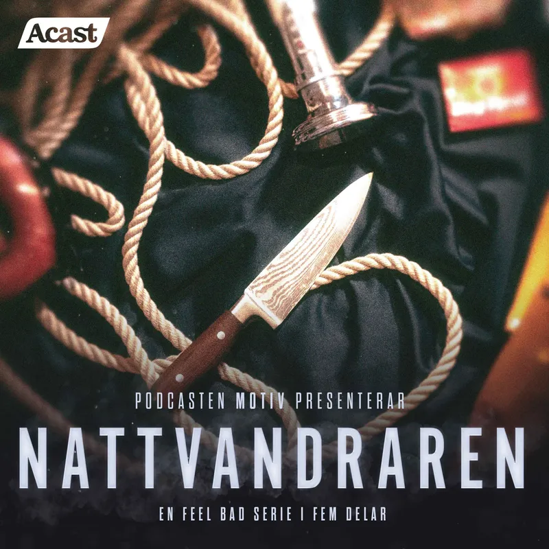 Nattvandraren - Del 2/5 "Misstänkt och utpekad" artwork