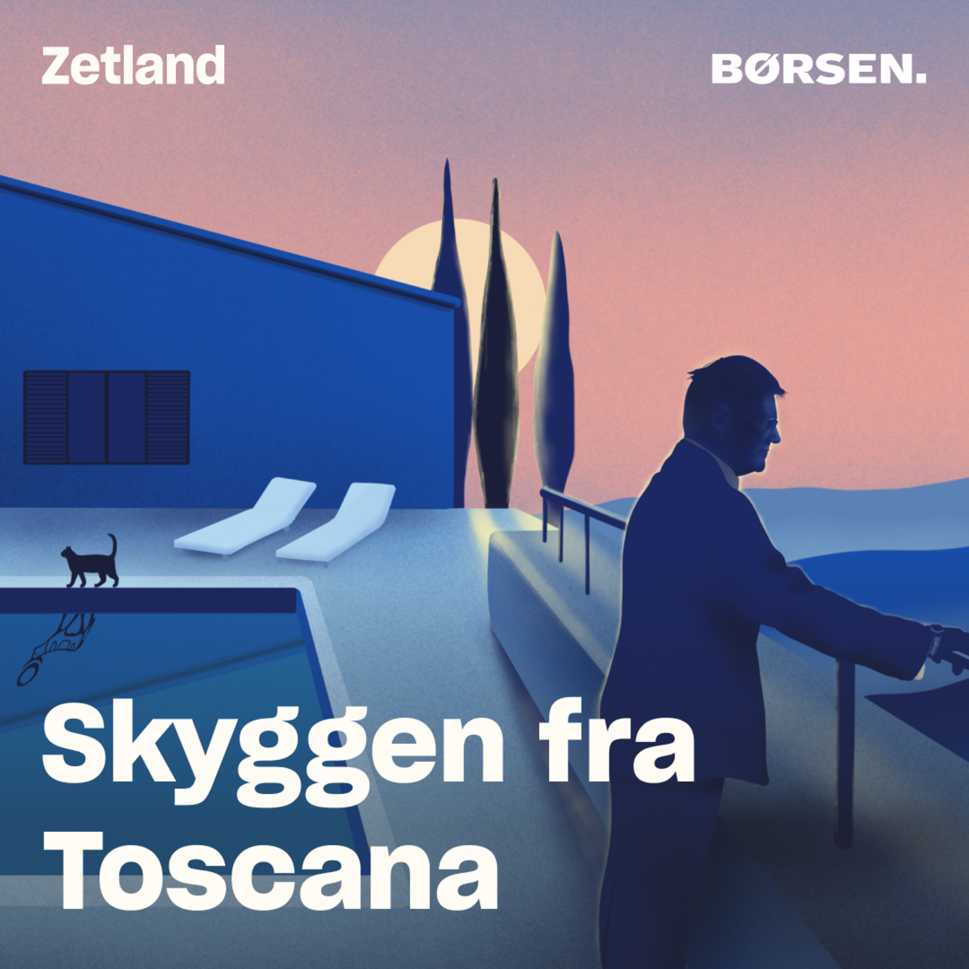 Afsnit 4: Afstemningen artwork