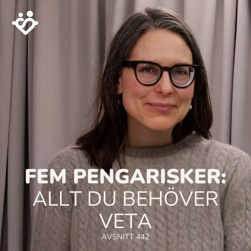 442. Fem pengarisker alla har att hantera | Allt du behöver veta om risk 2026 artwork
