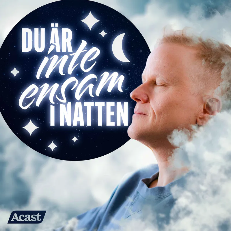 Du är inte ensam i natten - del 8 artwork