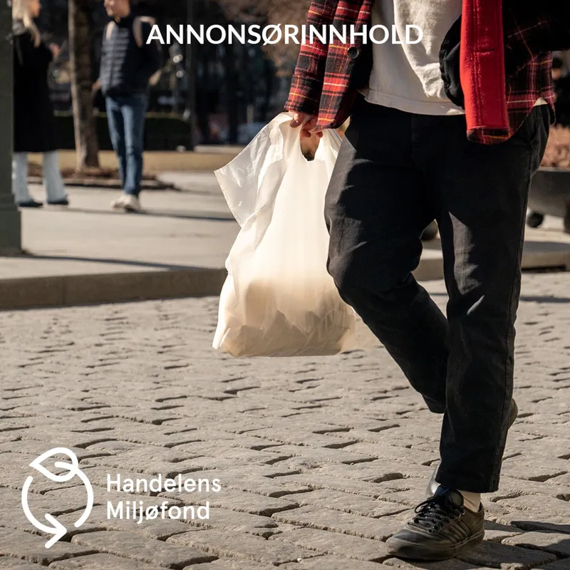Annonsørinnhold fra Handelens Miljøfond: Hvorfor er plastposene så dyre? artwork