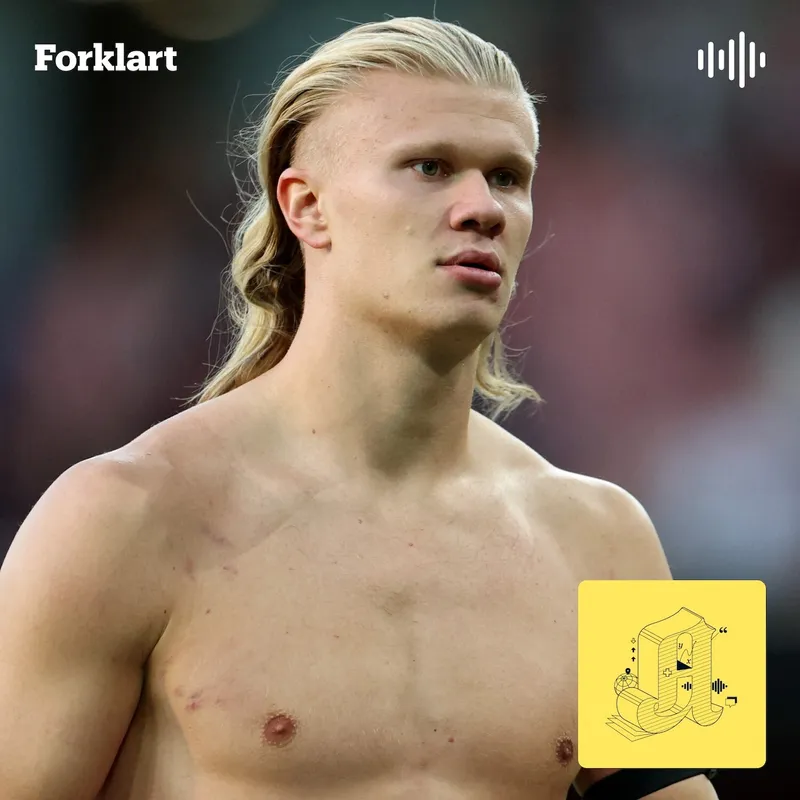 Haaland, rå melk og rått kjøtt: Er generasjon vegetar død? artwork