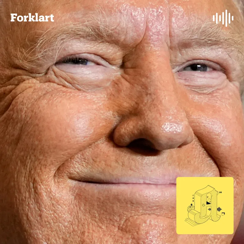 Hans Majestet Kong Trump? artwork