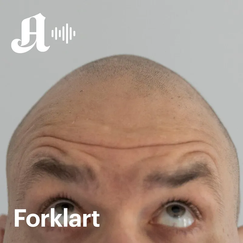 Kjøpe hår eller være skalla? artwork