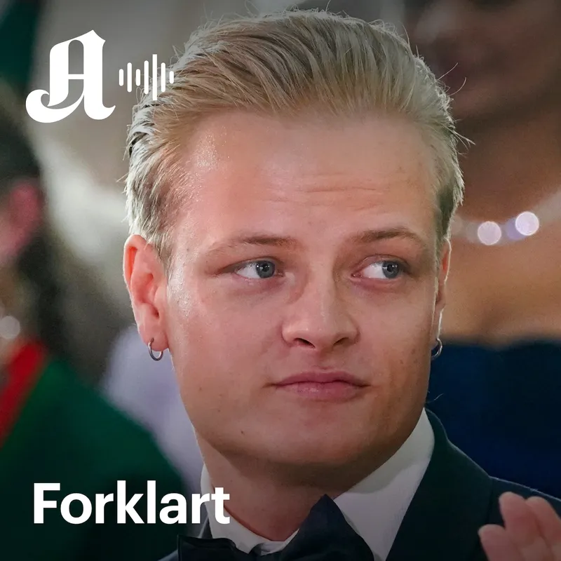 Mishandling, rus og voldtekt: Dette felte Høiby artwork