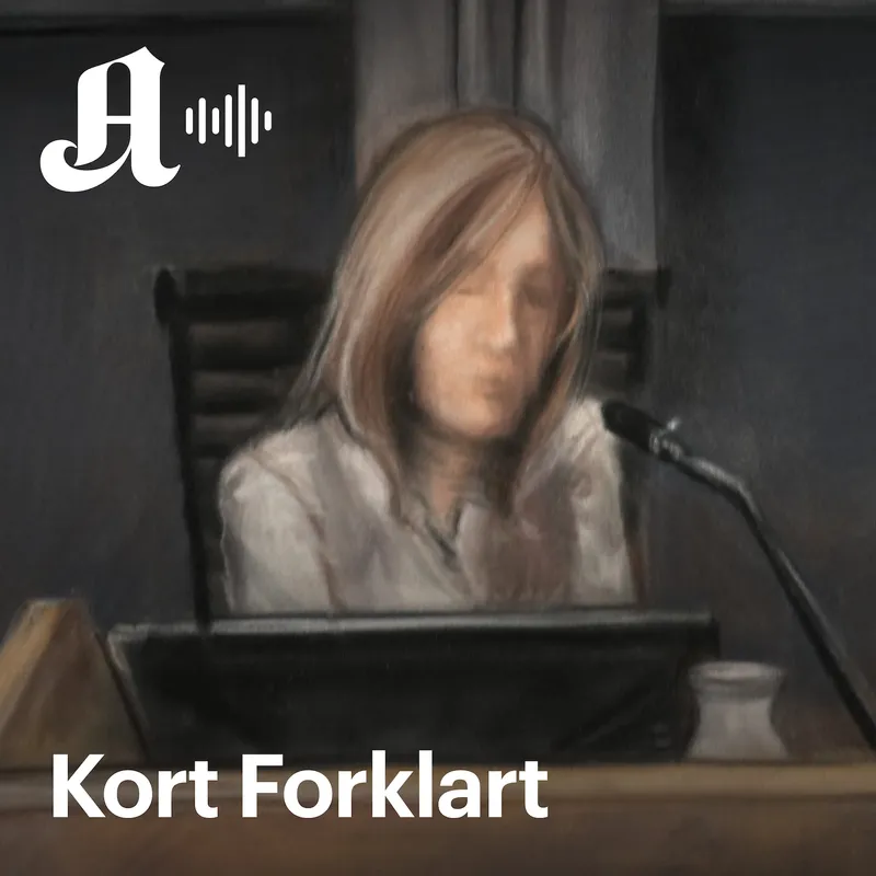 Kort Forklart: Frogner-kvinnen forklarte hvorfor hun ikke gikk fra Høiby artwork