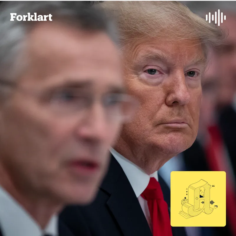 Dette betyr USA-tollen for deg: Lavere rente? artwork