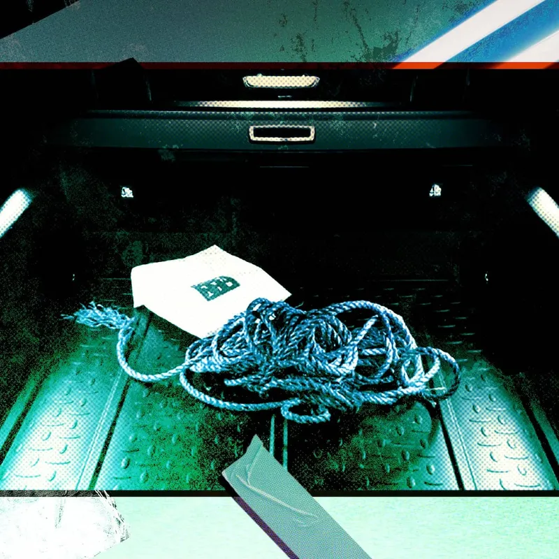 Hämndmordet på taxichauffören: ”Ska se ut som ett självmord” artwork
