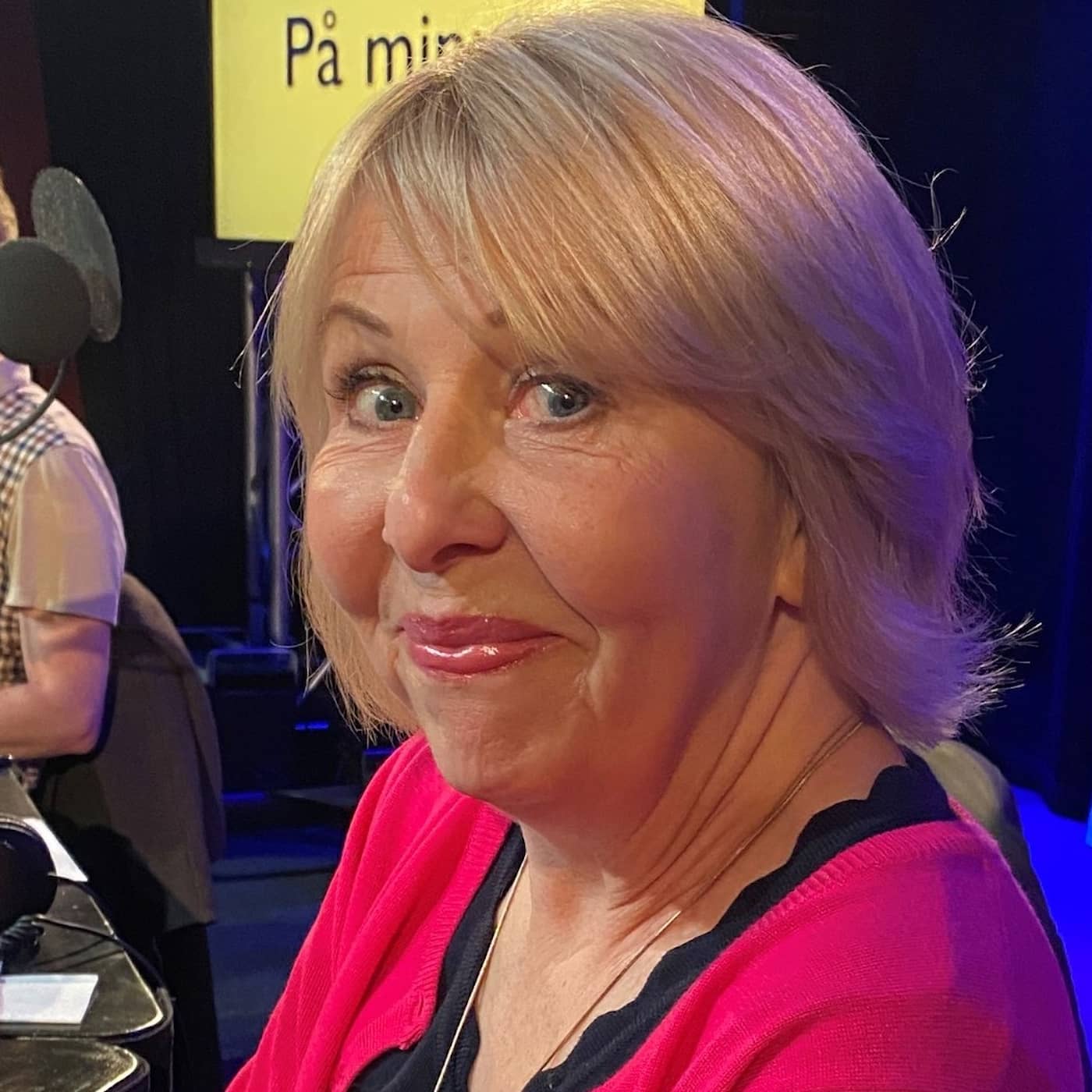 Sedan dess använder Pia Johansson inte längre ord på E artwork