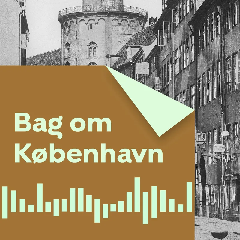 Lovens grådige arm - Københavns første politimester artwork