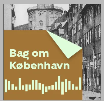 Den Perfekte Dansker - eugenik og undermålere artwork