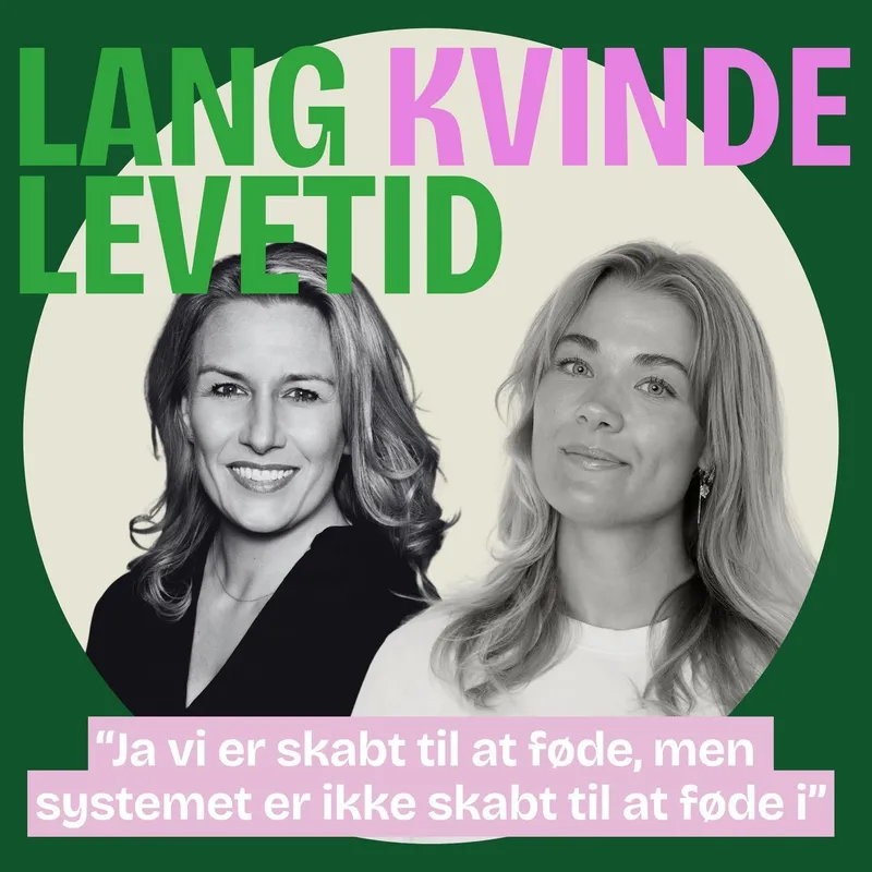 Lang Kvinde Levetid: Pt. 2 af Vi er skabt til at føde, men systemet er ikke skabt til at føde i artwork