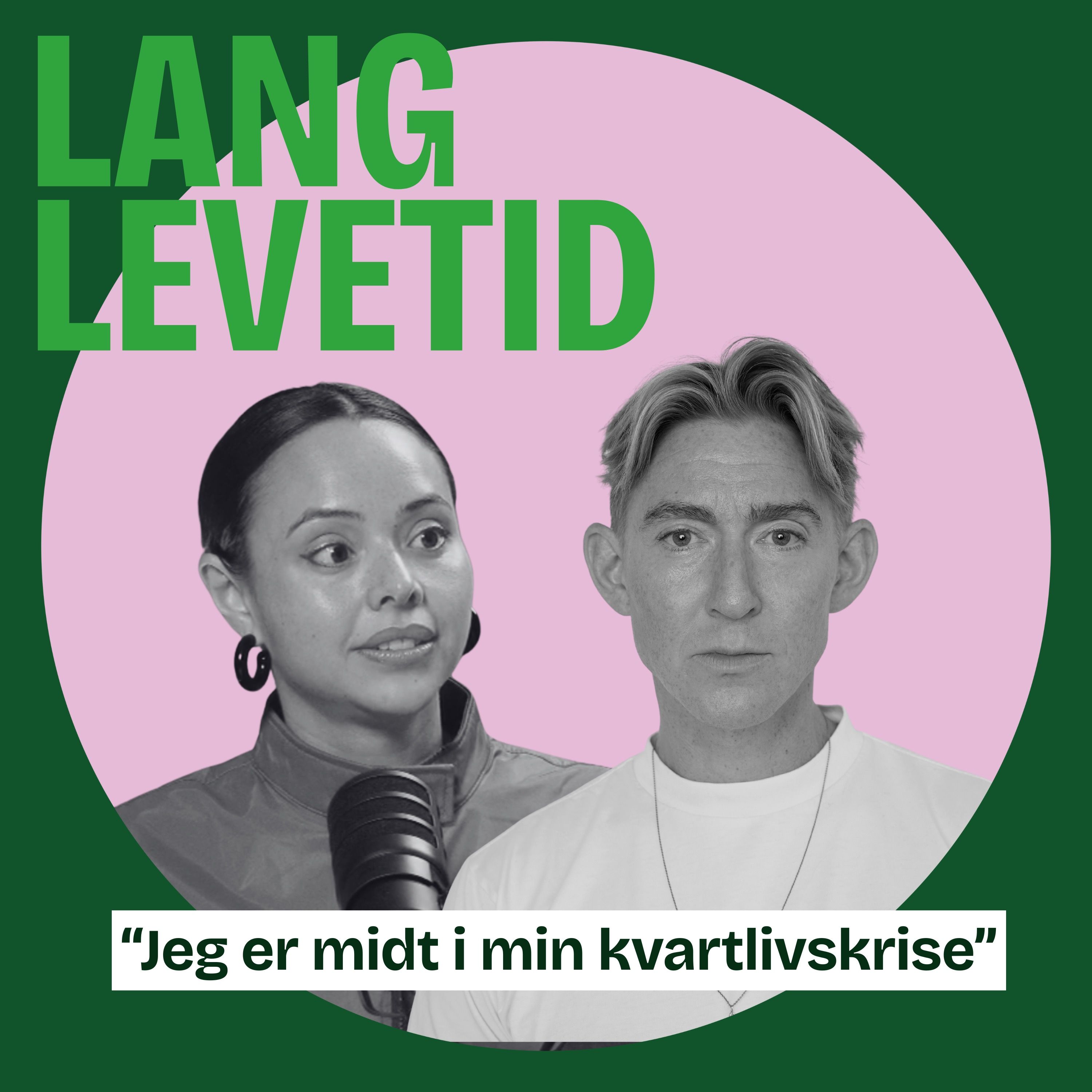 Zelma Lewerissa: Kvartlivskrisen artwork