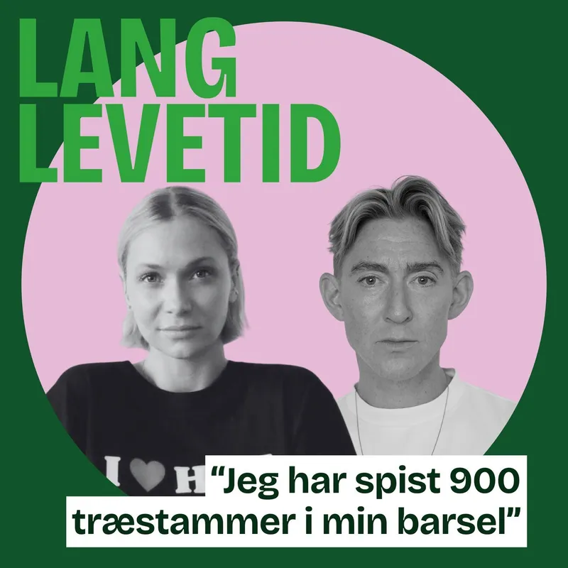Emilie Lilja: Jeg har spist 900 træstammer i min barsel artwork