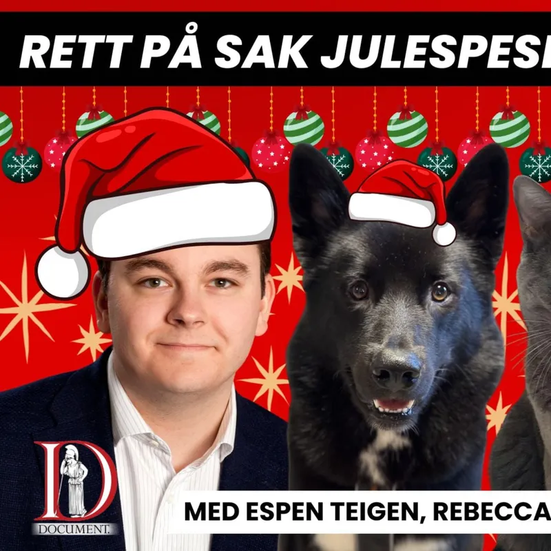 Rett på sak julespesial: Julaften er endelig her! artwork