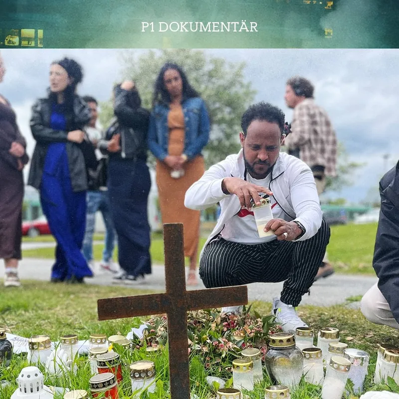 Massmordet på Risbergska och klassen som blev kvar artwork