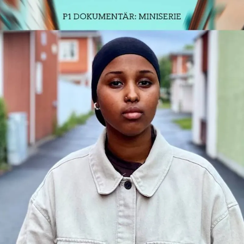 Det delade Borlänge – Ta dig härifrån! | Del 1/3 (R) artwork