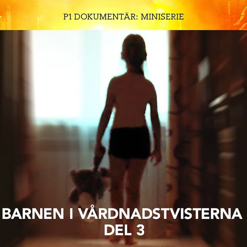Barnen i vårdnadstvisterna – Vi tvingades till förövaren | del 3 artwork