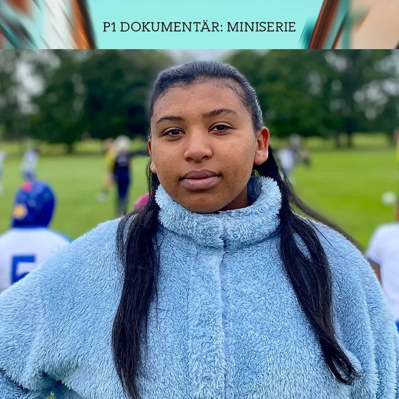 Det delade Borlänge – Tomt på hemmaläktaren | Del 2/3 (R) artwork