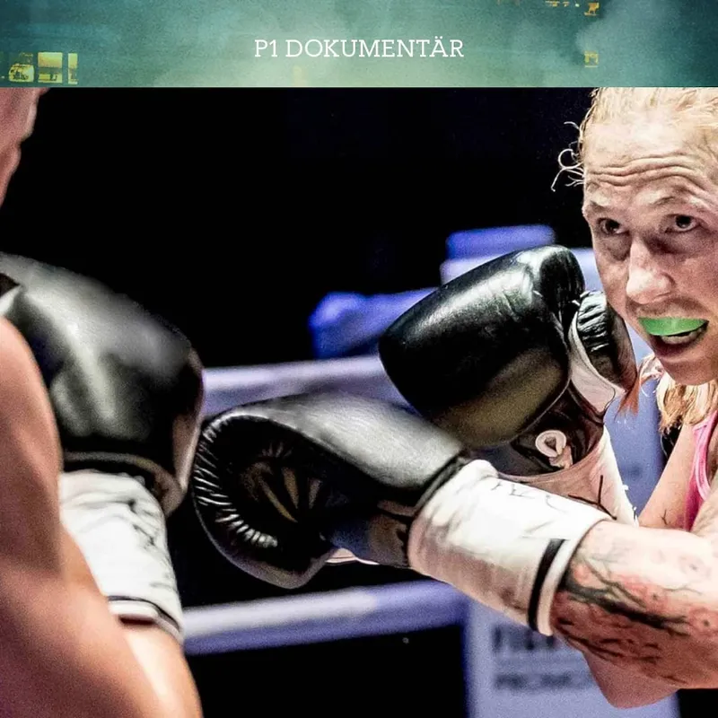 Fighter – vägen till världsmästarbältet artwork