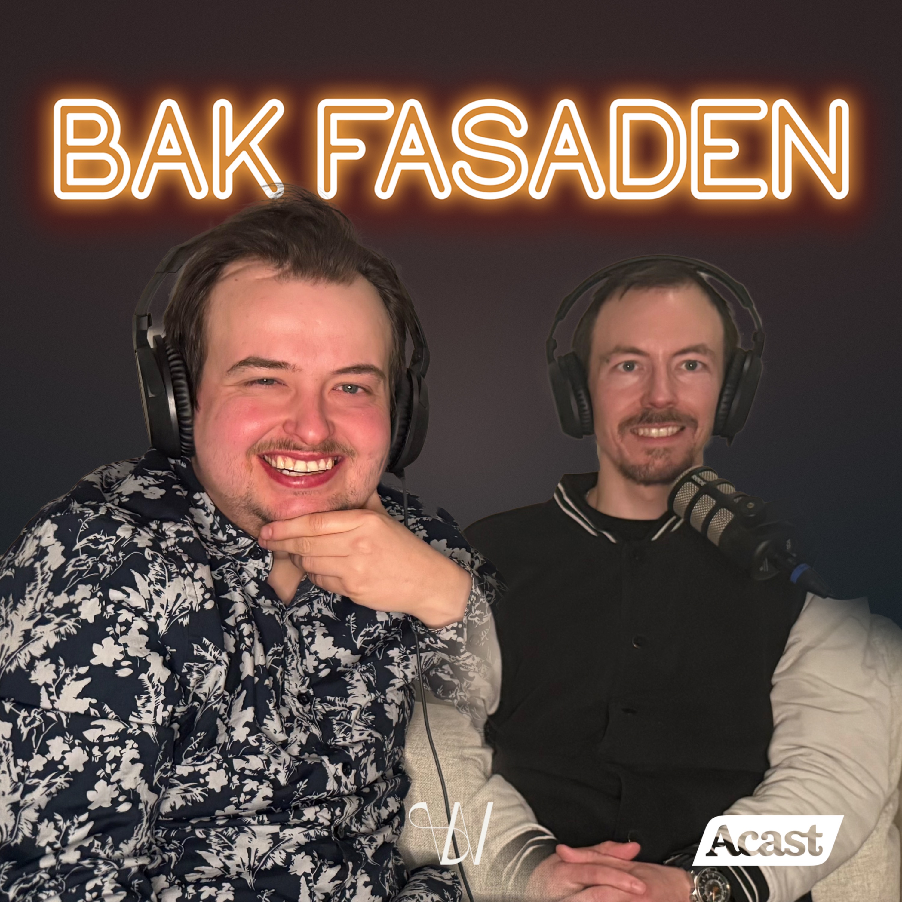 275. Brødrenes kamp mot feil diagnose artwork