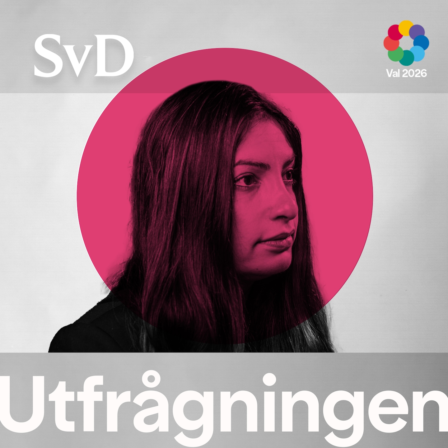 SMAKPROV! SvD Utfrågningen: Nooshi Dadgostar artwork