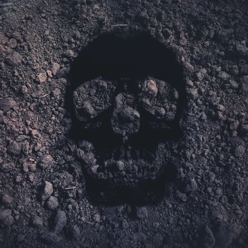 När jordarna dör artwork