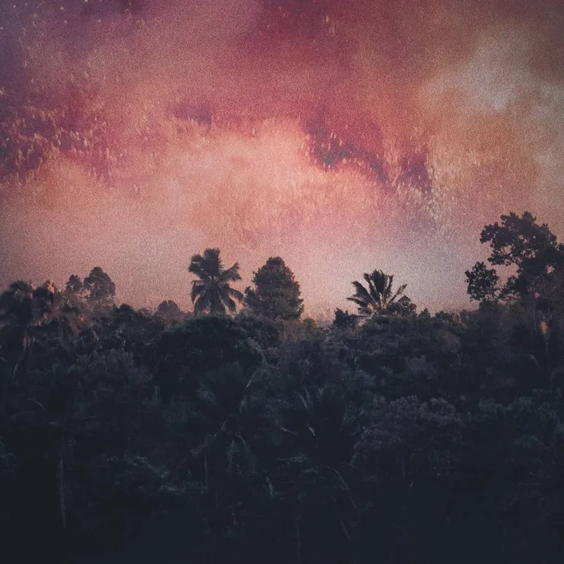 Amazonas kollaps artwork