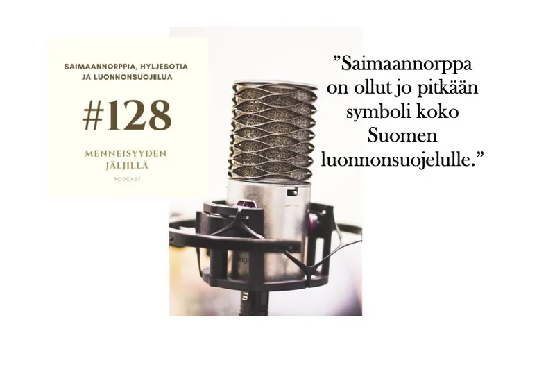 #128 Saimaannorppia, hyljesotia ja luonnonsuojelua artwork