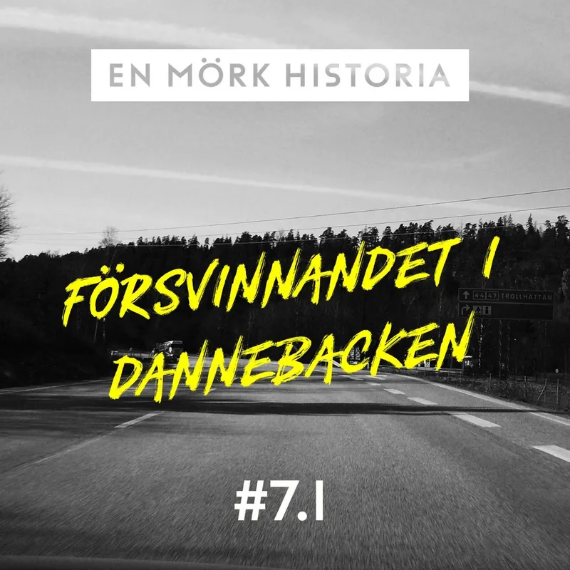 Försvinnandet i Dannebacken - Del 1/3 artwork