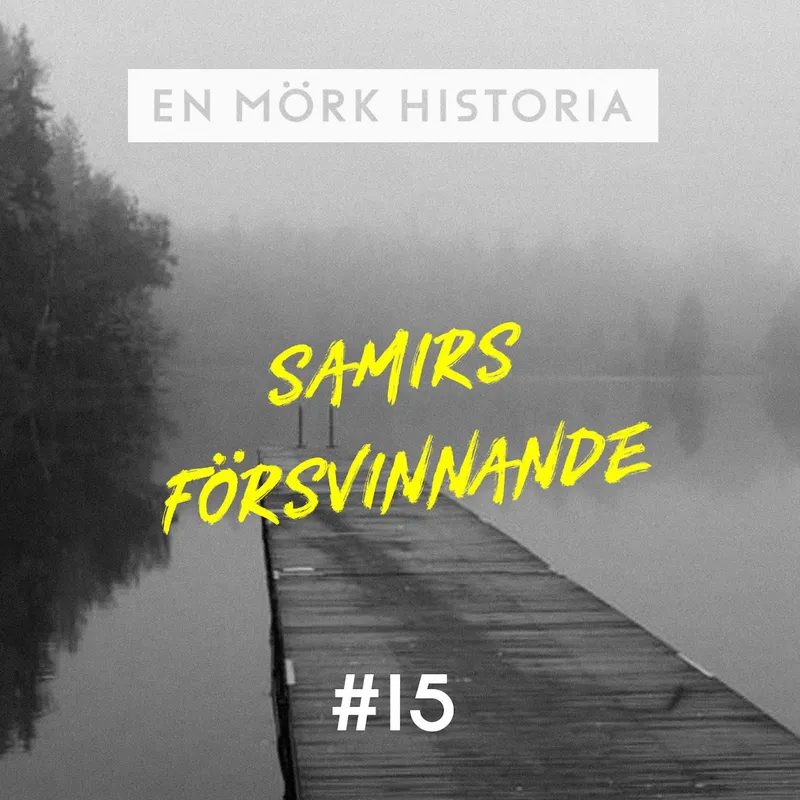 Samirs försvinnande 2/3 - "Vittnena" artwork