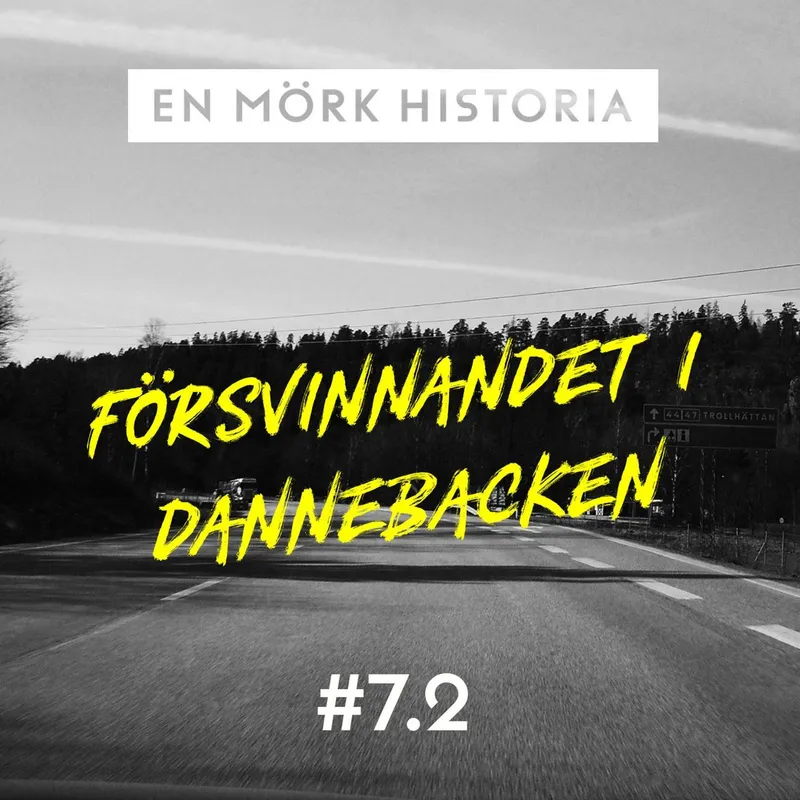 Försvinnandet i Dannebacken - Del 2/3 artwork