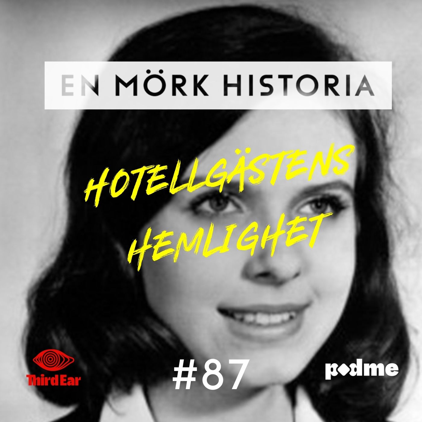 Hotellgästens Hemlighet - Systrar 1/3 artwork
