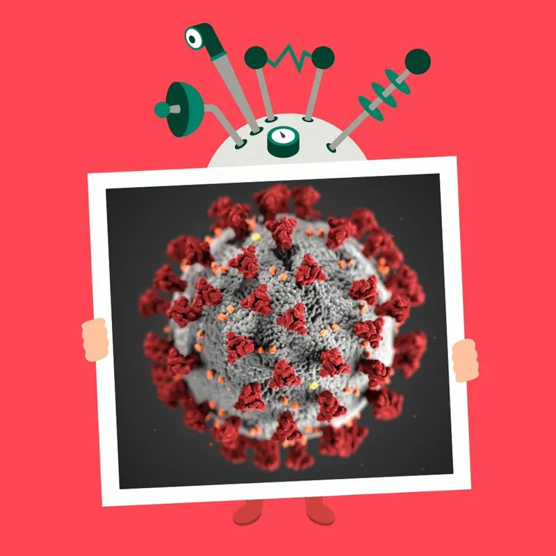 Hvad er coronavirus? artwork