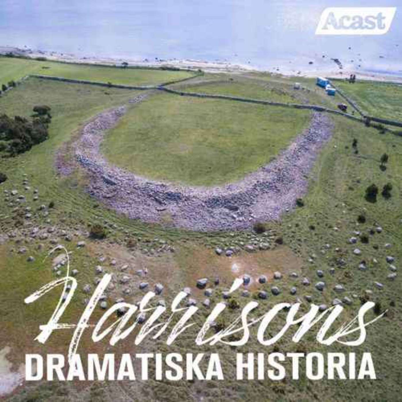 Fornborgarnas hemligheter artwork