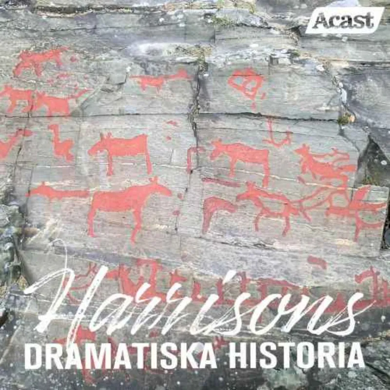 Den svenska stenåldern artwork