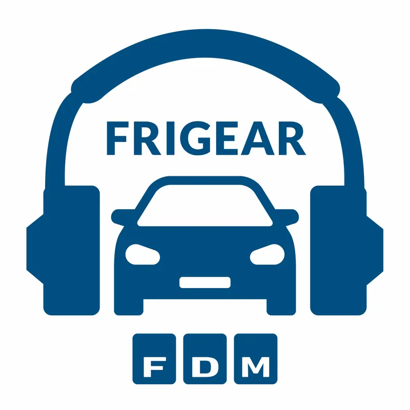 #236 | Kinesisk elbils-eksplosion, biltest af den sidste Ford Fiesta og lytterspørgsmål artwork