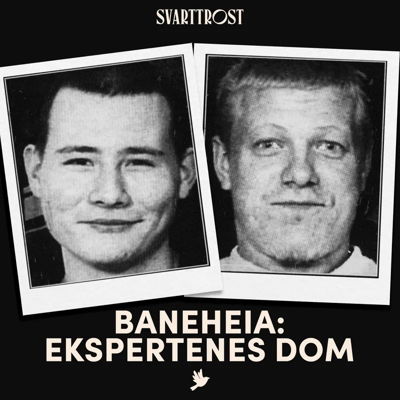 Baneheia: Ekspertenes dom (2) Starten på et justismord artwork