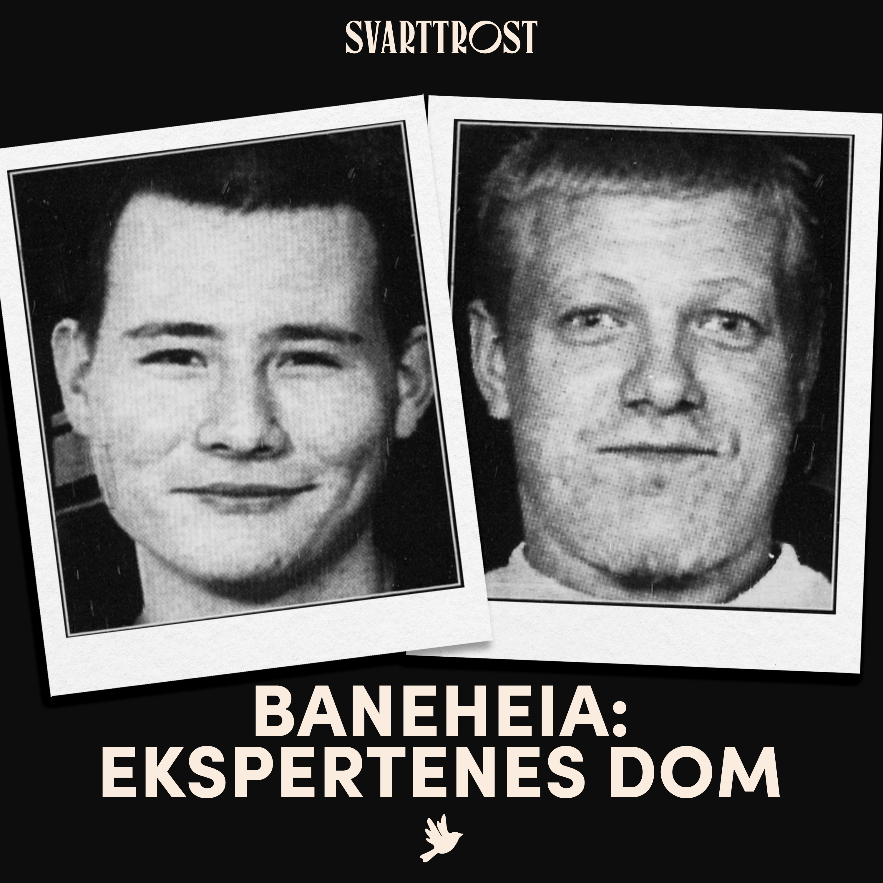 Baneheia: Ekspertenes dom (1) Rapporten artwork