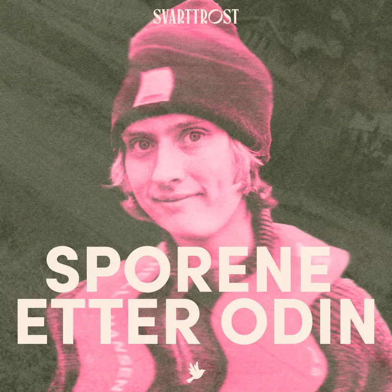 Trailer: Sporene etter Odin artwork