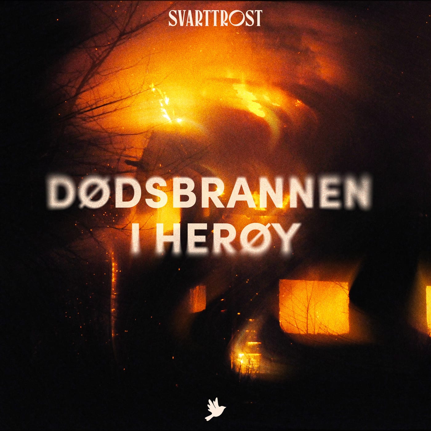 Dødsbrannen i Herøy (3:5) Etterforskningen artwork