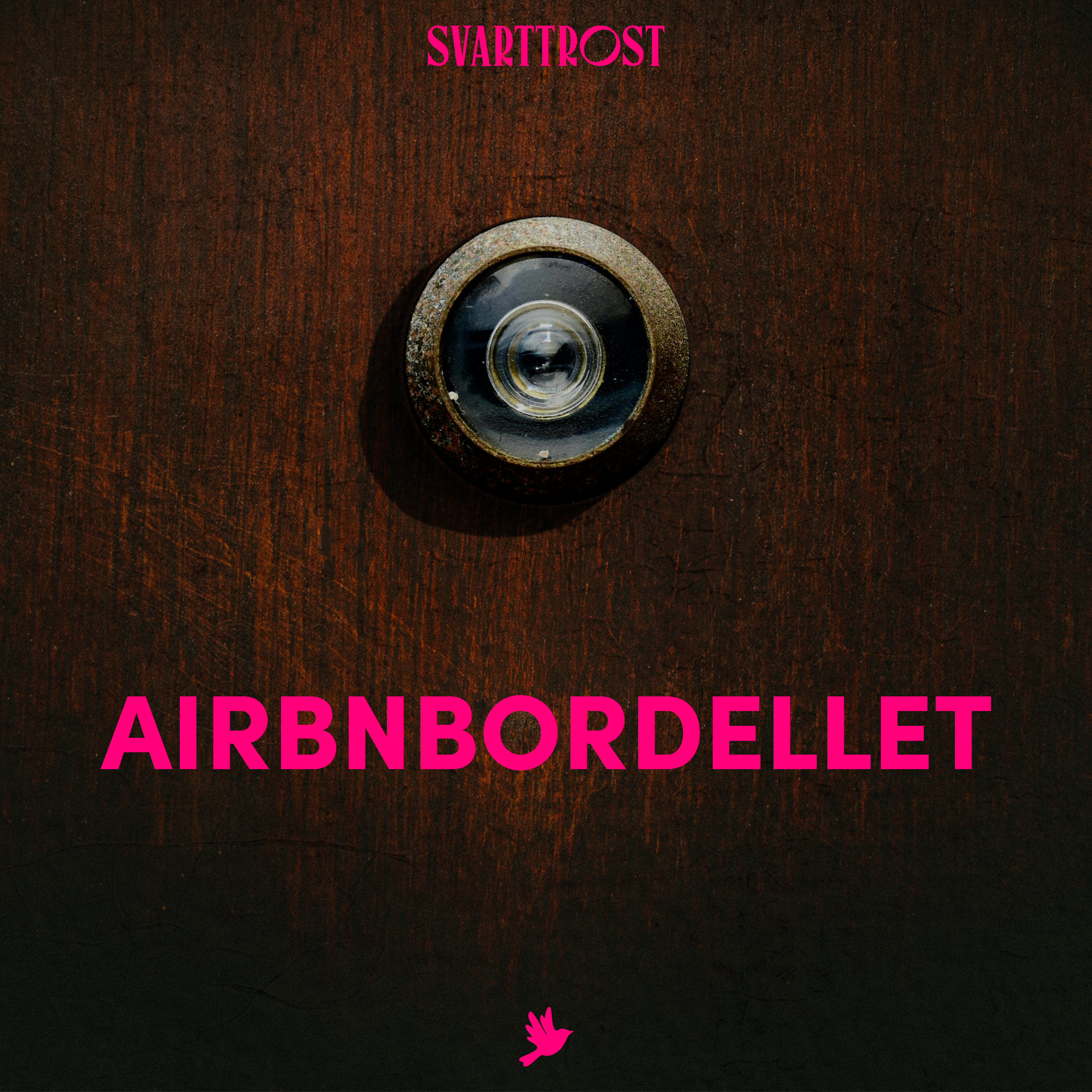 Airbnbordellet (3:5) Sexkjøperen artwork
