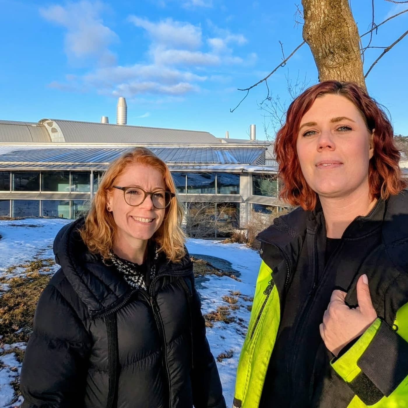 Näringslivets nya uppdrag: Göra Göteborg grönare artwork
